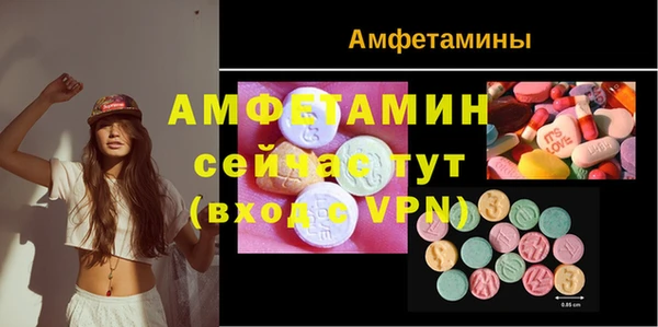ПСИЛОЦИБИНОВЫЕ ГРИБЫ Горно-Алтайск