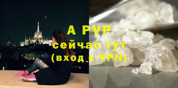 2c-b Горняк