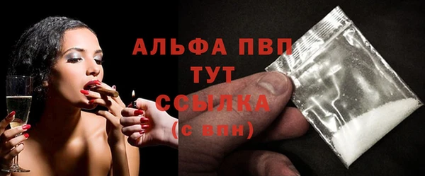 ПСИЛОЦИБИНОВЫЕ ГРИБЫ Горно-Алтайск