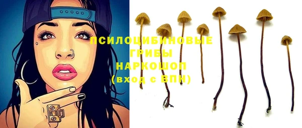 2c-b Горняк
