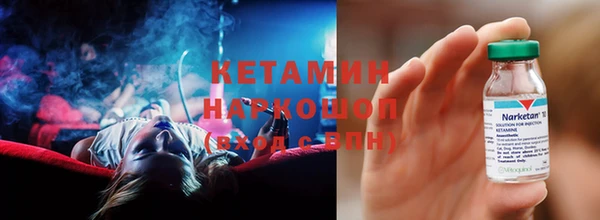 ПСИЛОЦИБИНОВЫЕ ГРИБЫ Горно-Алтайск
