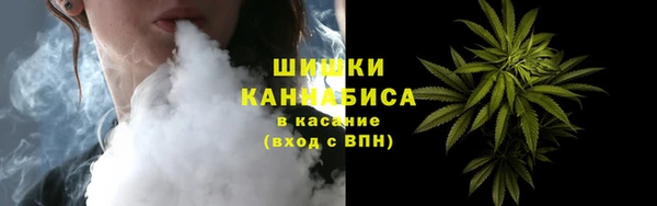 ПСИЛОЦИБИНОВЫЕ ГРИБЫ Горно-Алтайск