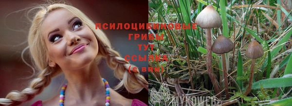 кокаин колумбия Горнозаводск