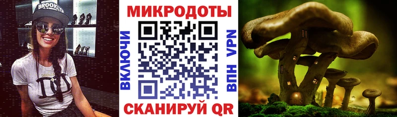 Купить закладки  Красный Сулин  Галлюциногенные грибы ЛСД 